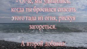 Анекдот-притча о том, как важно не изменять своей натуре
