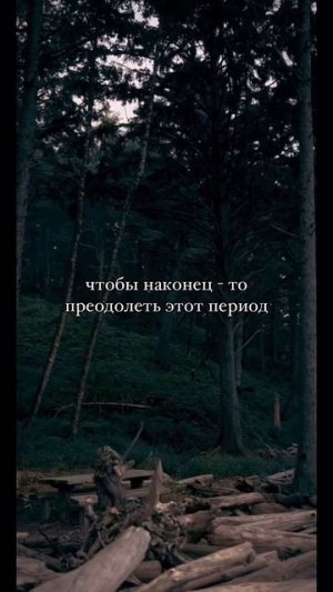 Никогда не сдавайся!