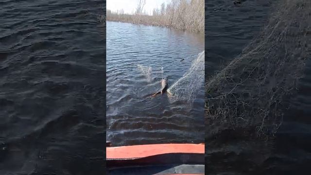 14 июля 2023 г. смотреть онлайн