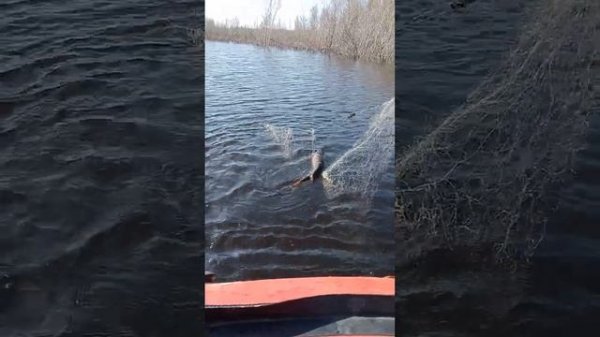 14 июля 2023 г.