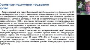 Основные положения трудового права, 2026