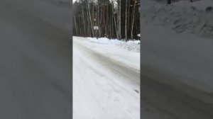 вечерний стрим