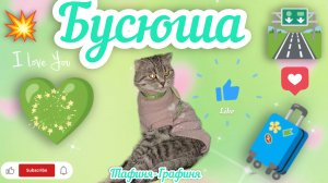 😻Будни Бусинки😻/Голодная  актриса вернулась😁