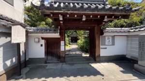 ЯПОНИЯ- КИОТО ЗА 24 ЧАСА- УТРО В ХРАМЕ ФУСИМИ ИНАРИ И ВЕЧЕР В ОГНЯХ ФОНАРЕЙ(Me & Australia)