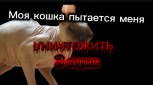 Моя кошка пытается меня уничтожить 3 серия