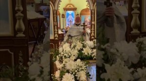 Проповедь к празднику Сретенья Господа Иисуса Христа 2026