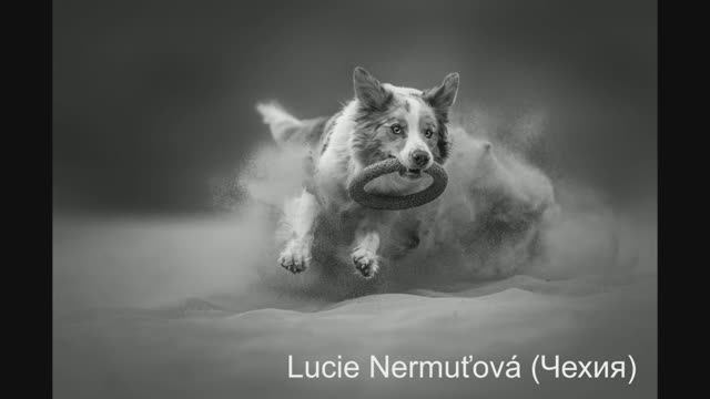 Об итогах reFocus Awards 2025 смотреть онлайн