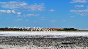 Соленое озеро "Тузлы".