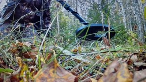 Заходи,пообщаемся...