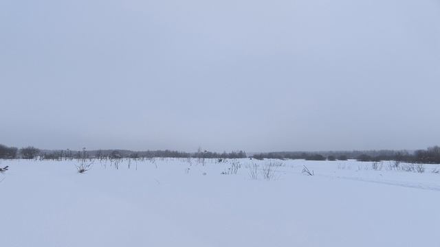 Поле. Февраль 2026 смотреть онлайн