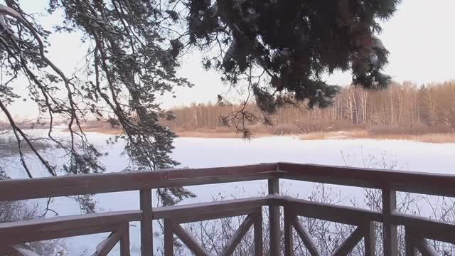 Лыжная база Гилёвская роща. Тюмень. 02 января 2026 года смотреть онлайн