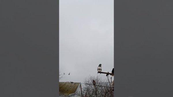 перелёт (89895013708) Андрей