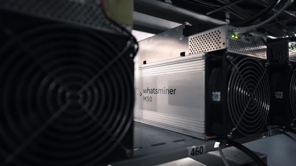 Компания Algoritm