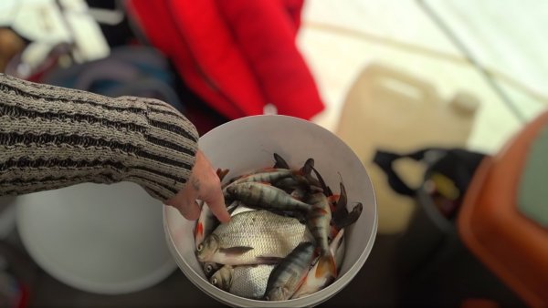 Ночная рыбалка на КВХ.(Сов.Хакасия)