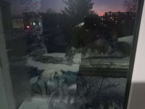 вид за окном