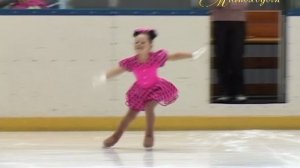 "МИМОХОДОМ", 15 февраля 2013 год. Автор проекта О. Дзиов