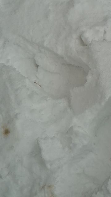 Багги не хочет ехать по липкому снегу смотреть онлайн