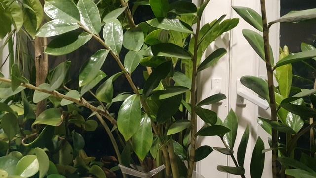 В двадцатый сейчас бы…