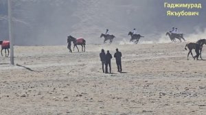 Скачки в с. Анди. 2-я партия на 9 кругов.15.02.2026