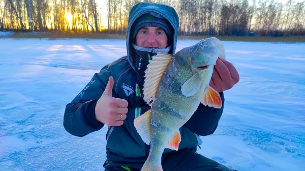 СИБИРСКИЙ РЫБАЧОК В ПРЕМИИ ВИДЕОБЛОГЕРОВ. Нужна ваша ПОДДЕРЖКА!