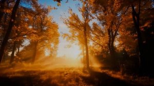 Река и ночь и звезды💠