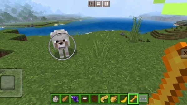 НОВАЯ ЕДА в майнкрафт!