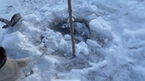 Таёжные отшельники быт в -30 рыбалка начало холодов (30 лет одиночества 49 серия)