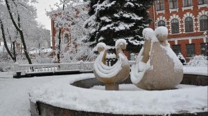 УТРЕННЯЯ ПОЧТА! ОЛИМПИАДА! ВАСЕВСКИЕ-ПЛЮШКИНЫ!🤣