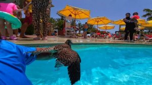 КАМПУС В ЛАГЕРЕ - АМИНА НАШЛА ВОРА 😵