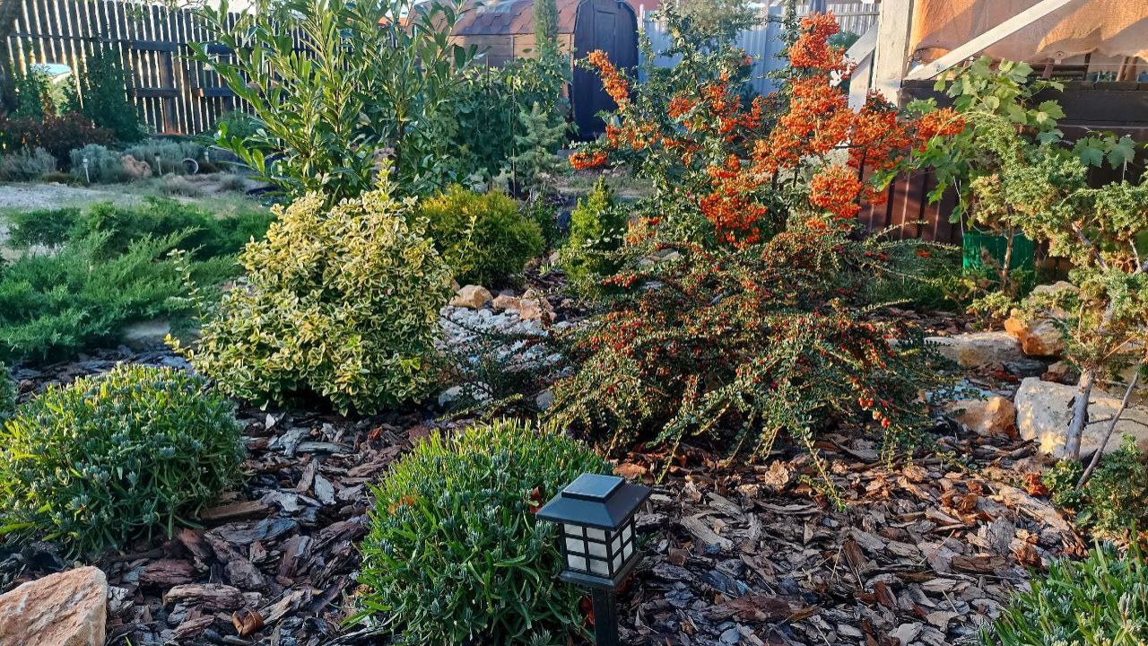 Сентябрь. Большая прогулка по южному саду #2 Яркие краски осени. смотреть онлайн