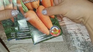 перцы на 15 февраля даже тугодумы взошли