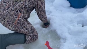 15.02.26 - продолжаем поимки форели