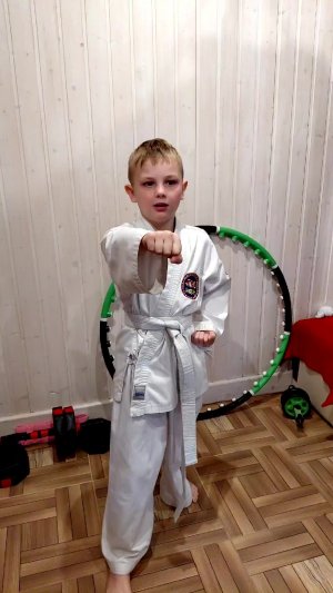 тхэквондо тули