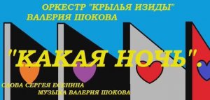 ВАЛЕРИЙ ШОКОВ - КАКАЯ НОЧЬ