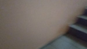 ОПЯТЬ ЗАКУЛИСЬЕ 😰😰😰