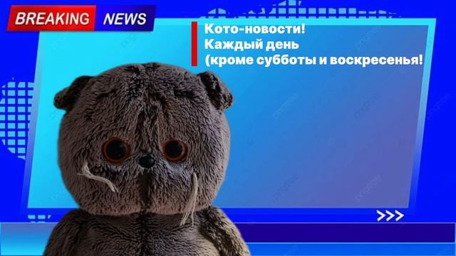 КОТО-НОВОСТИ ШОК КОНТЕНТ! УЗНАЙ ВСЕ НОВОСТИ ПРЯМО СЕЙЧАС)
🔥 смотреть онлайн