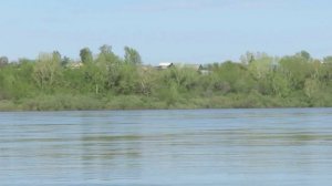 Пруды - отстойники -июнь 01, 2018