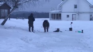 поимка форели на пасту