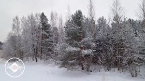 Зимний парк "Приморский"