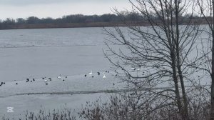 ❤️Вот это заявление от мужа!!!/ Вместе весело шагать!!