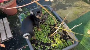 Погода очень радует.