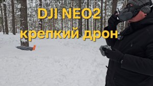 Dji Neo2 - месяц полетов. Крепкий дрон