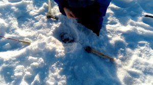 Проверка самоловок