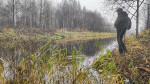 Рыбалка на щуку на сливе. Главное упорство.