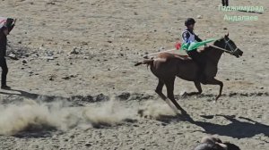 Скачки в с. Анди.1-я партия на 13 кругов.15.02.2026