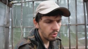 ЧЕМ УДОБРЯТЬ ОГУРЦЫ ПОДКОРМКА ОГУРЦОВ