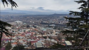 Как в Грузии проверяют мед полис туриста