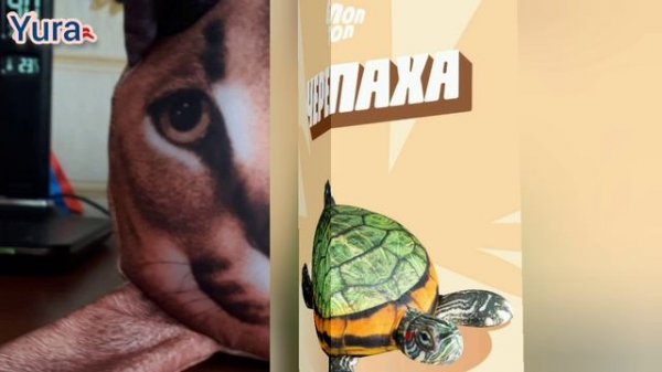 БЛОПТОП!) # 200 Подписчиков на канале!🤝❤❤❤Yura!!!🚀💥👍