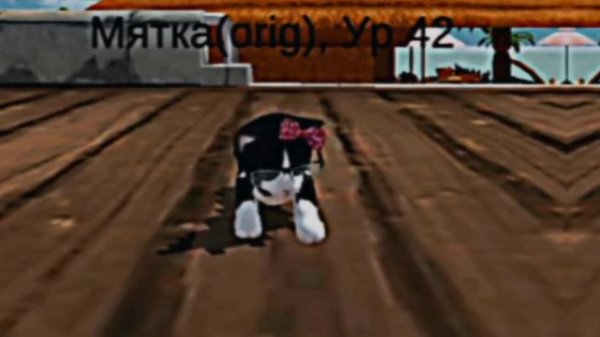 Эдиты вернулись.|Cat Simulator Animal life|