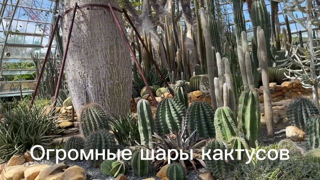 Vinpearl. Сад цветов . Нячанг, Вьетнам, Февраль 2026г. смотреть онлайн